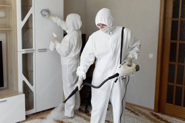 Best Basement Mold Remediation in Mbria, CA