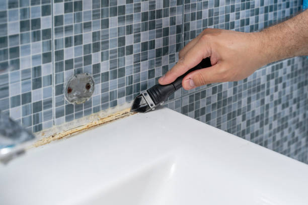 Best Insurance-Related Mold Remediation in Mbria, CA