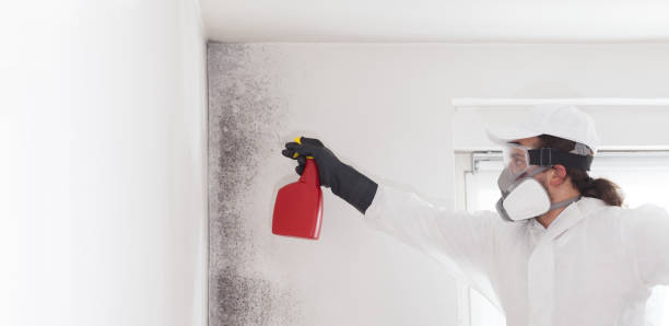 Best Post-Remediation Services in Mbria, CA